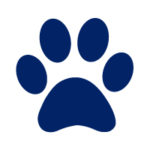 School_Bailey Primary