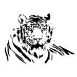 School_Eric White ES